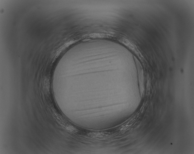 X0000062650297200601111158