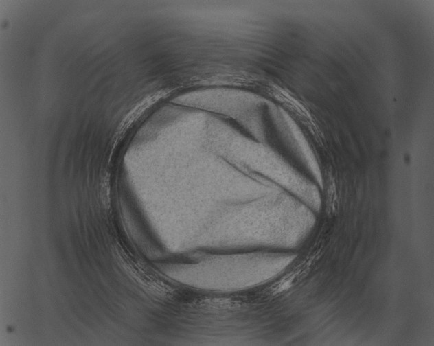 X0000062650298200601111158