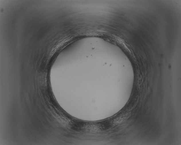 X0000062650299200601111158