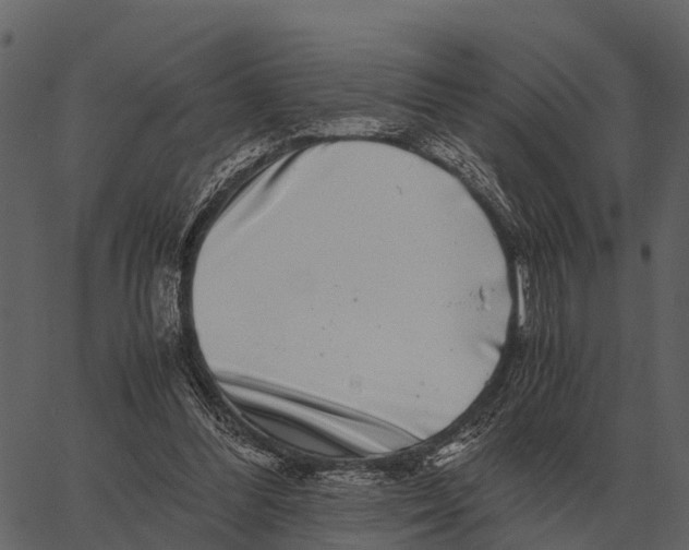 X0000062650300200601111158