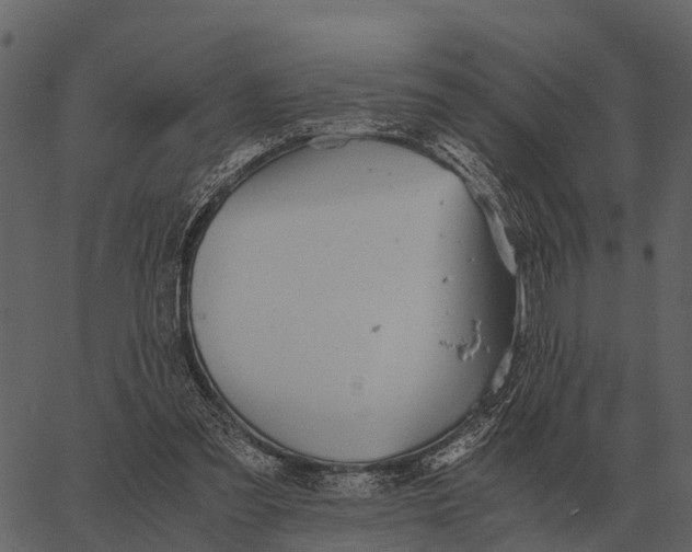 X0000062650301200601111158