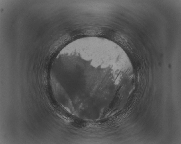 X0000062650303200601111158