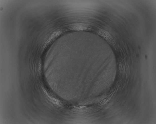 X0000062650304200601111158