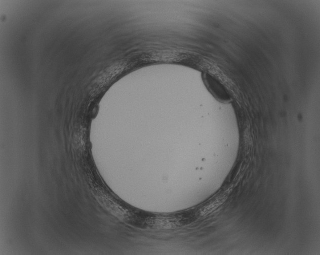 X0000062650305200601111158