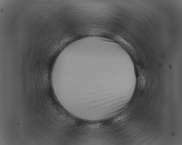 X0000062650306200601111158