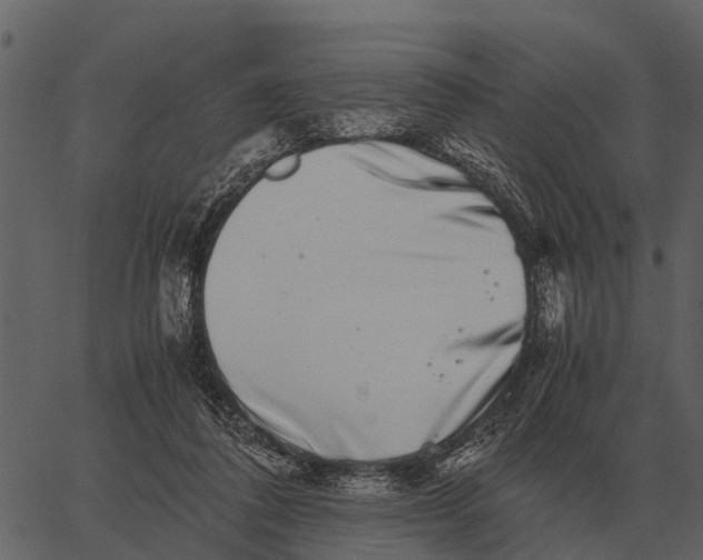 X0000062650308200601111158