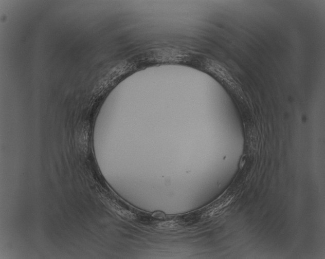 X0000062650309200601111158