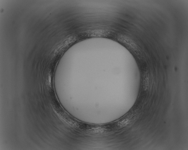 X0000062650310200601111158