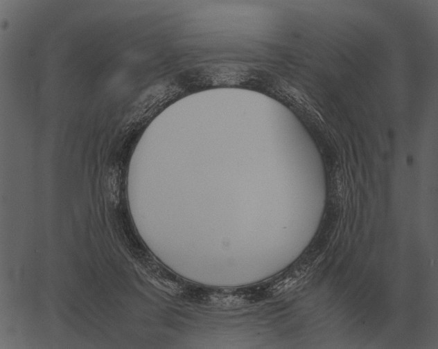 X0000062650311200601111158