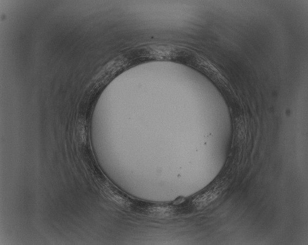 X0000062650313200601111158