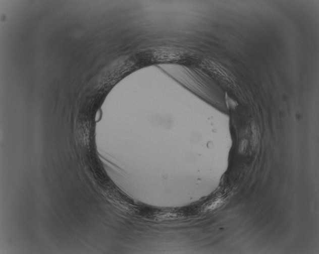 X0000062650315200601111158