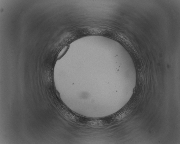 X0000062650317200601111158