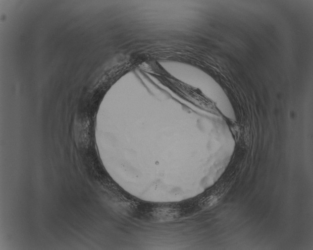 X0000062650319200601111158