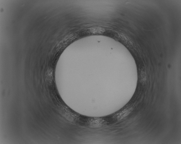 X0000062650321200601111158