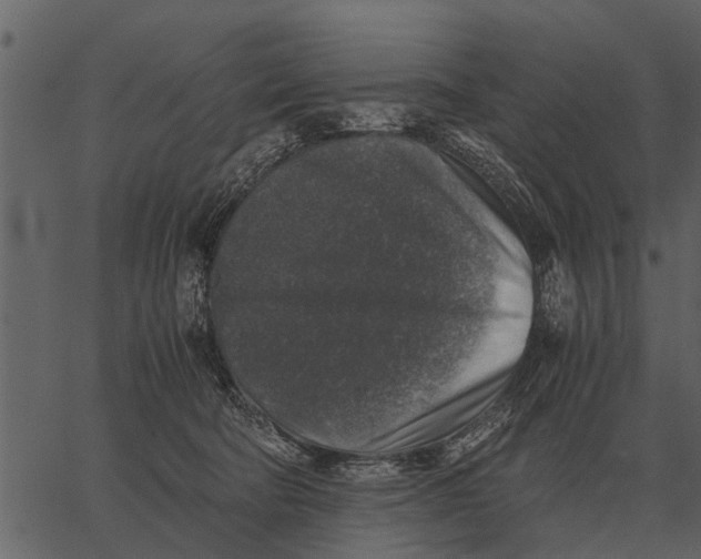 X0000062650322200601111158