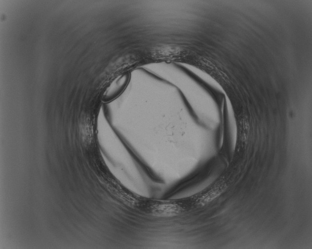 X0000062650324200601111158