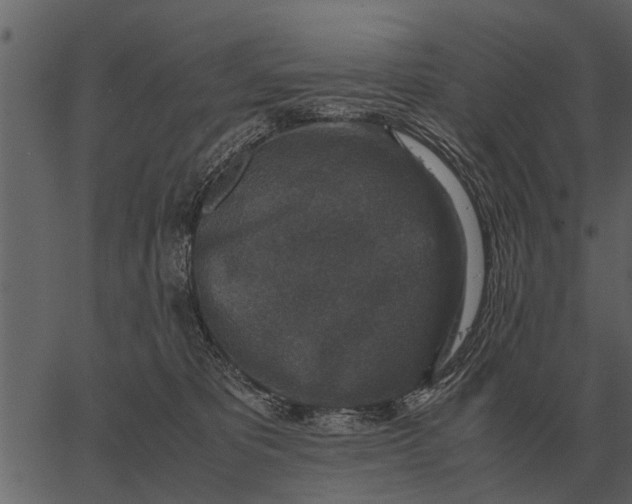 X0000062650325200601111158