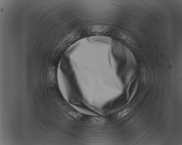 X0000062650328200601111158