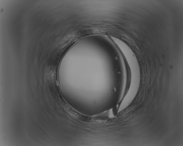 X0000062650329200601111158