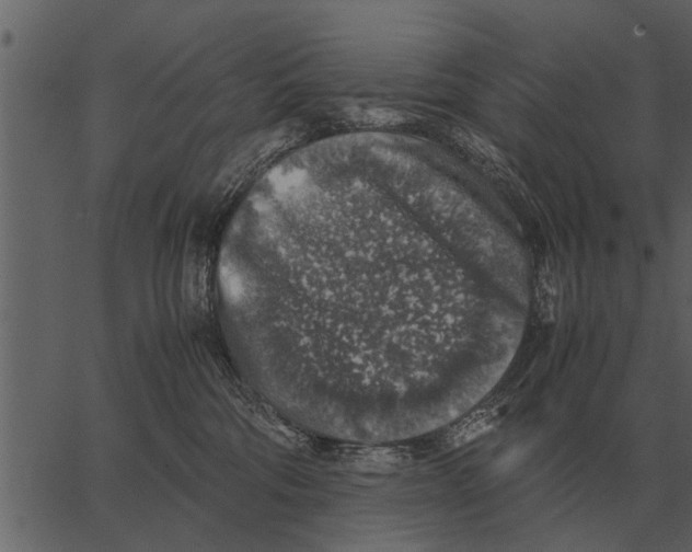 X0000062650330200601111158