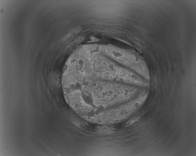 X0000062650331200601111158