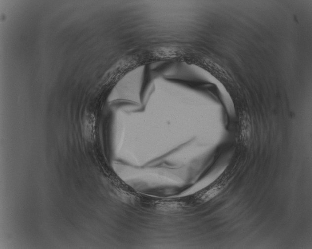 X0000062650332200601111158