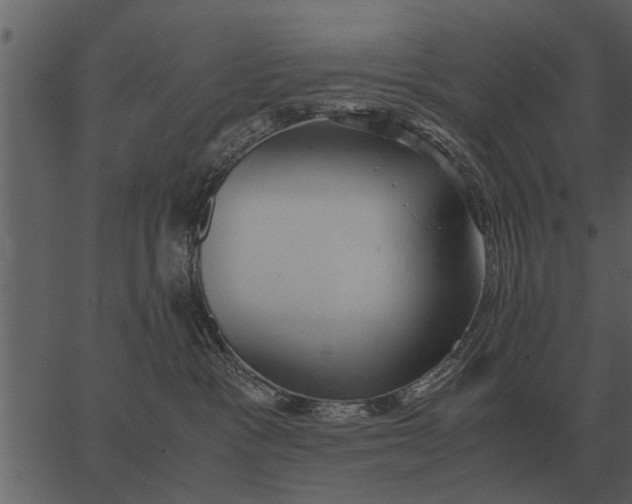 X0000062650333200601111158