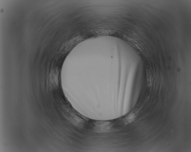 X0000062650334200601111158