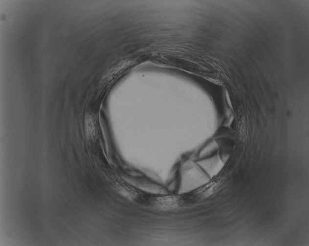 X0000062650335200601111158