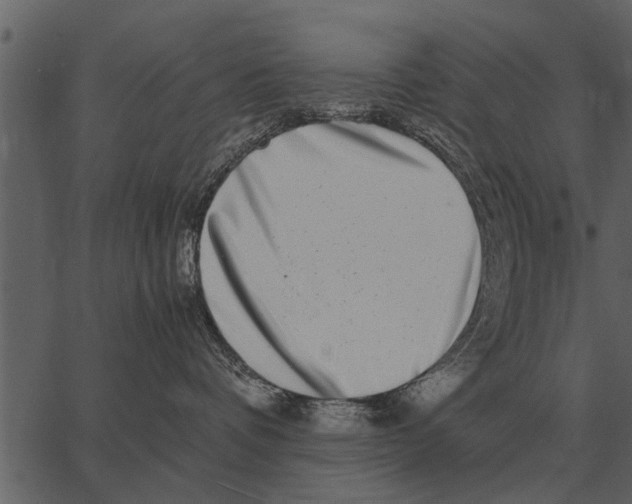 X0000062650336200601111158