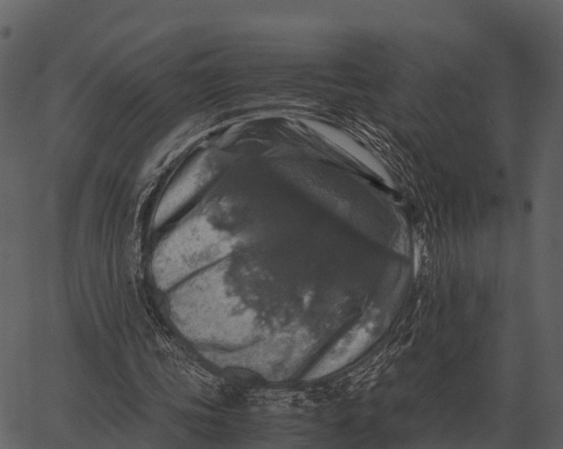 X0000062650339200601111157