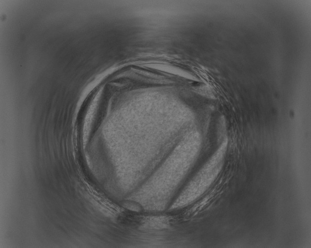 X0000062650342200601111157