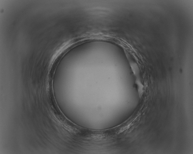 X0000062650344200601111157