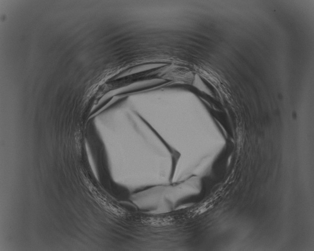 X0000062650345200601111157