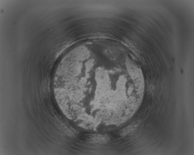 X0000062650347200601111157