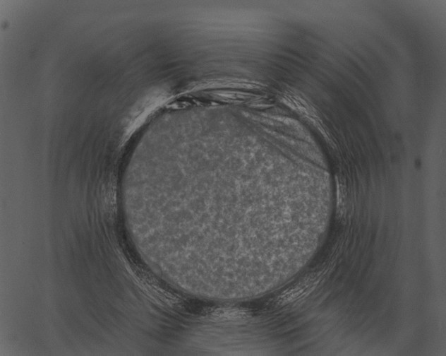 X0000062650348200601111157