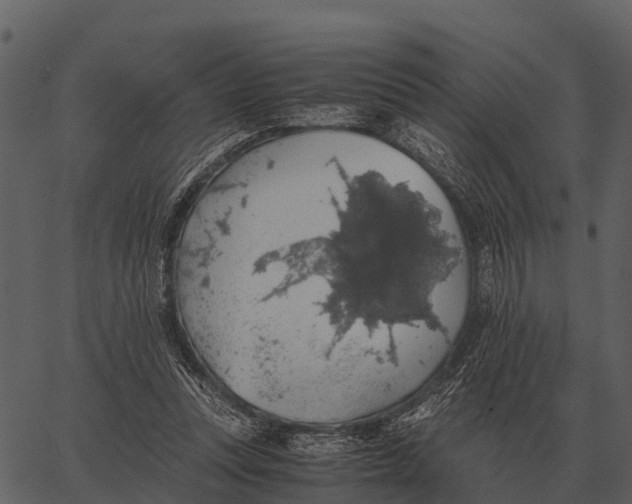 X0000062650351200601111157