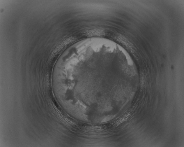 X0000062650353200601111157