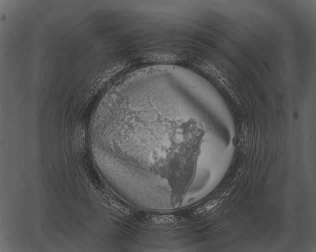 X0000062650355200601111157