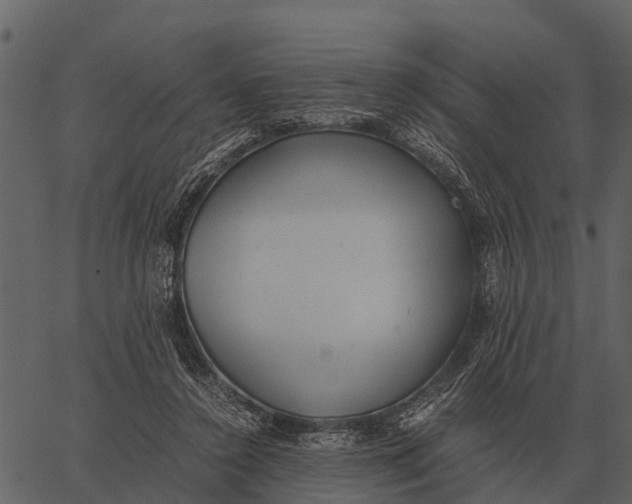 X0000062650356200601111157