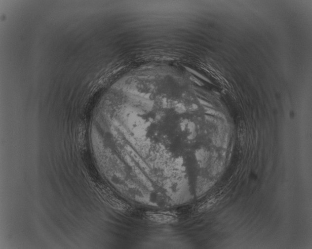 X0000062650359200601111157