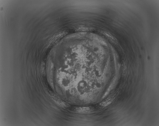 X0000062650361200601111157