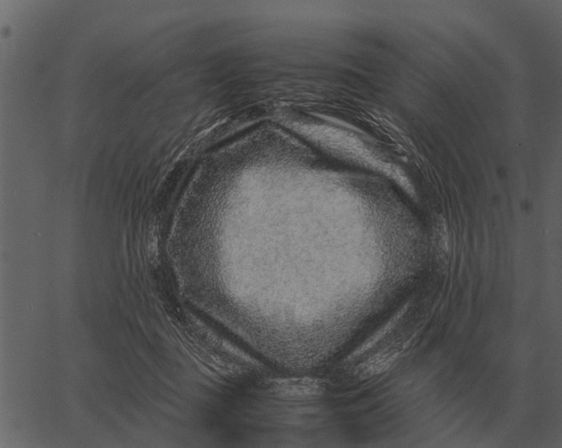 X0000062650363200601111157