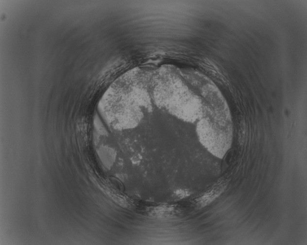 X0000062650366200601111158