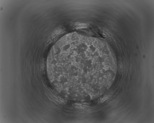 X0000062650367200601111158