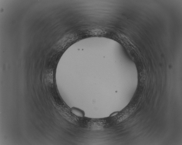 X0000062650368200601111158