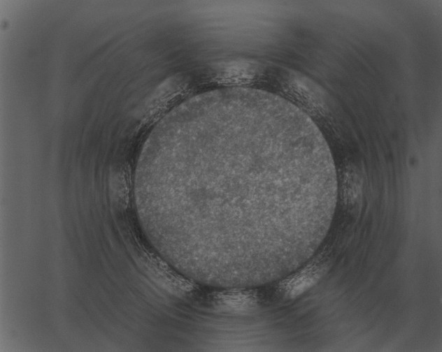 X0000062650370200601111158