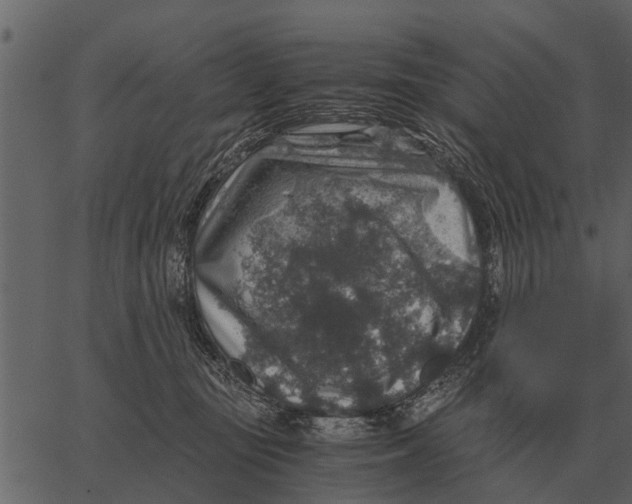 X0000062650371200601111158