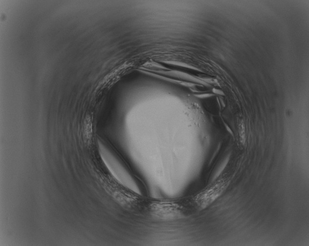 X0000062650372200601111158