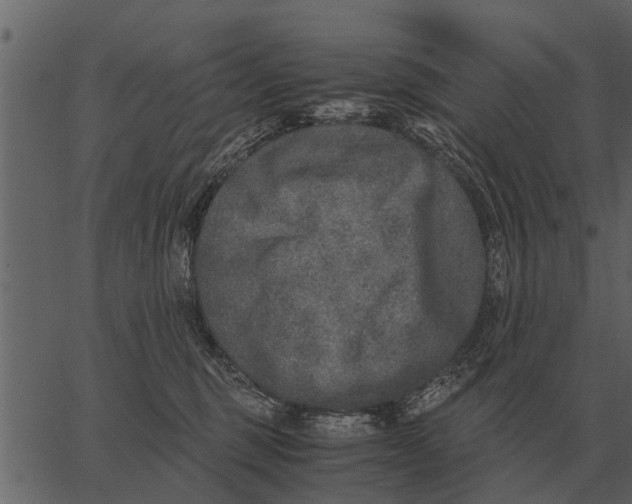 X0000062650375200601111158